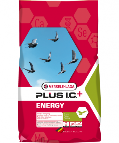5410340110171bigpack.png