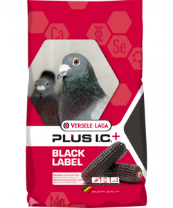 GERRY PLUS BLACK 22kg