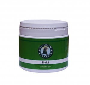 ProGut-400-gram.jpg
