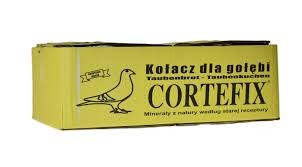 CORT.jpg