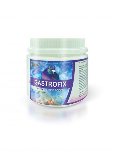 gastro.jpg