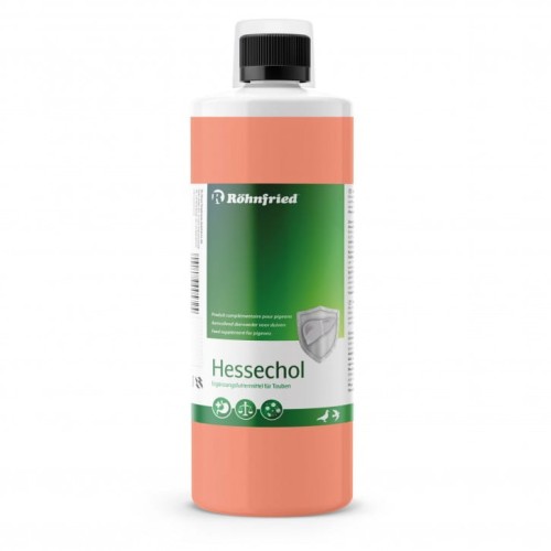 11406-Hessechol-V10-11-20-1-scaled.jpg