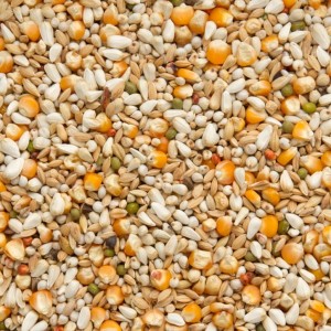 VANDANEBEELE 20kg