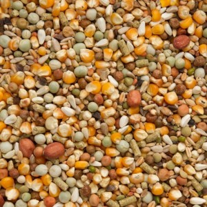 PREMIUM KOOPMAN 20kg