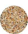 vershirn3.png