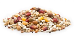 MIFUMA POWER MIX 25kg