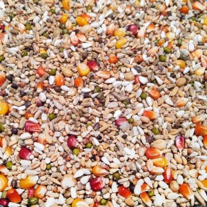 Vanrobaeys Pro Revolution ULTRA NR.53 20kg NOWOŚĆ