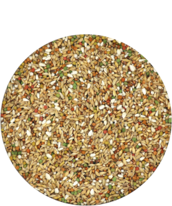 VERSELE-LAGA Depure Plus IC 20 kg