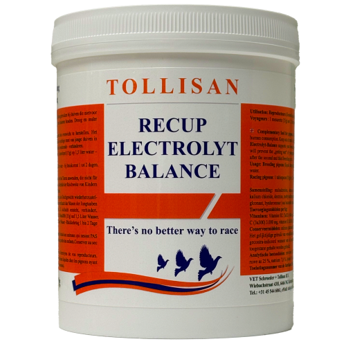 Recup-Electrolyt-Balance.png