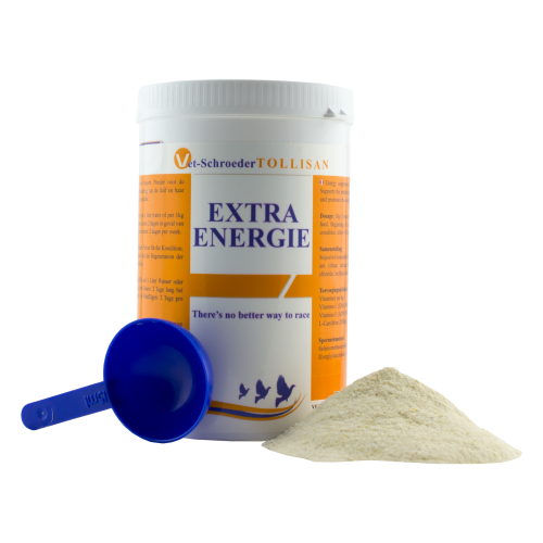 tollisan_0010_Extra-Energie-2.png