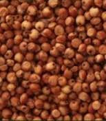SORGO 1KG