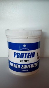 PROTEIN ACTIV 200g