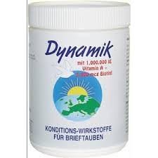 dyn.jpg
