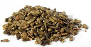 OSTROPEST PLAMISTY 1KG