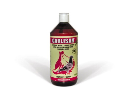 Garlisan.jpg