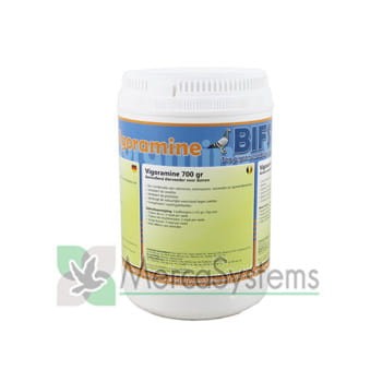 vigoramine_700.jpg