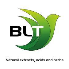 BLT