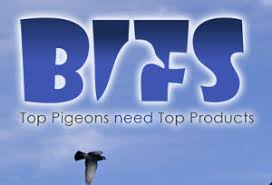 BIFS
